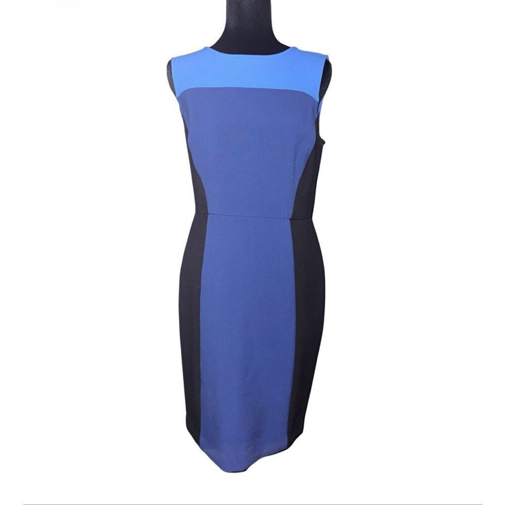 Loft Colorblock Sheath Dress